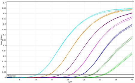 Graph amplification plot