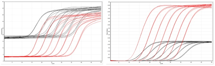 BHQnova amplification curve